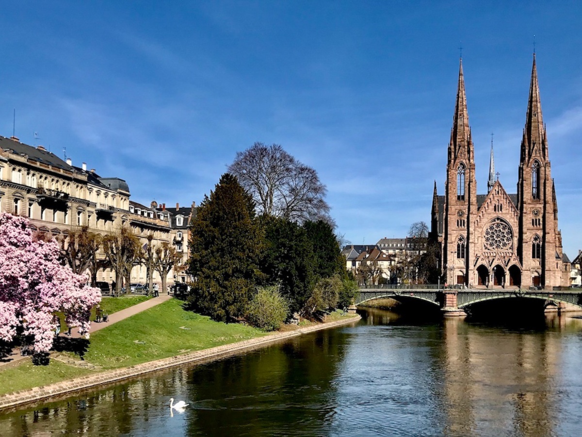 12 places to see magnolias in bloom in Strasbourg